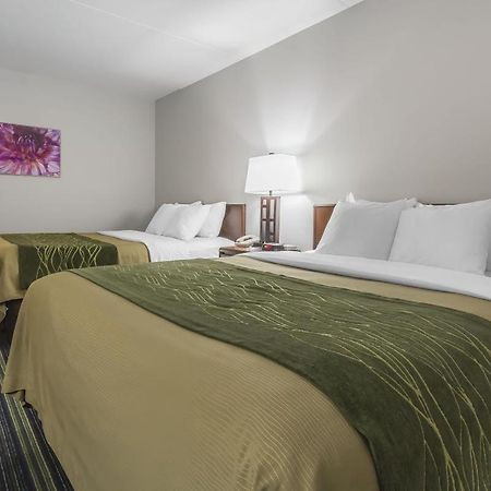 Comfort Inn & Suites Moose Jaw Δωμάτιο φωτογραφία