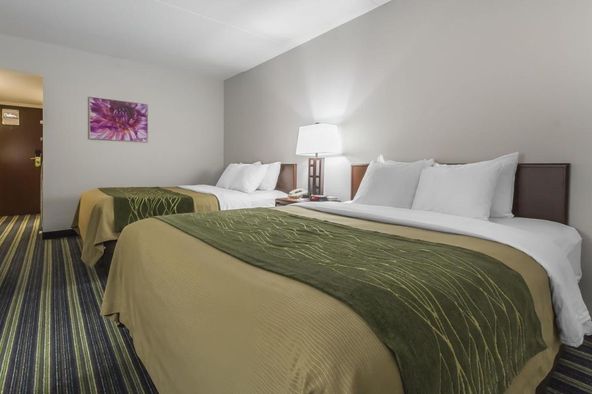 Comfort Inn & Suites Moose Jaw Δωμάτιο φωτογραφία